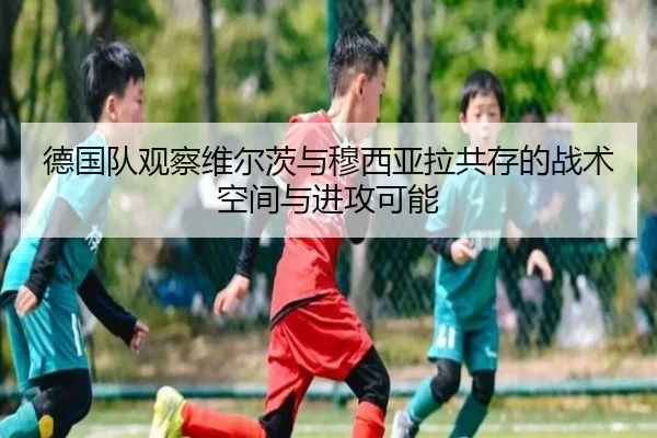 德国队观察维尔茨与穆西亚拉共存的战术空间与进攻可能